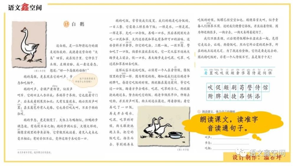 统编语文四下白鹅教学设计与课件图片分享