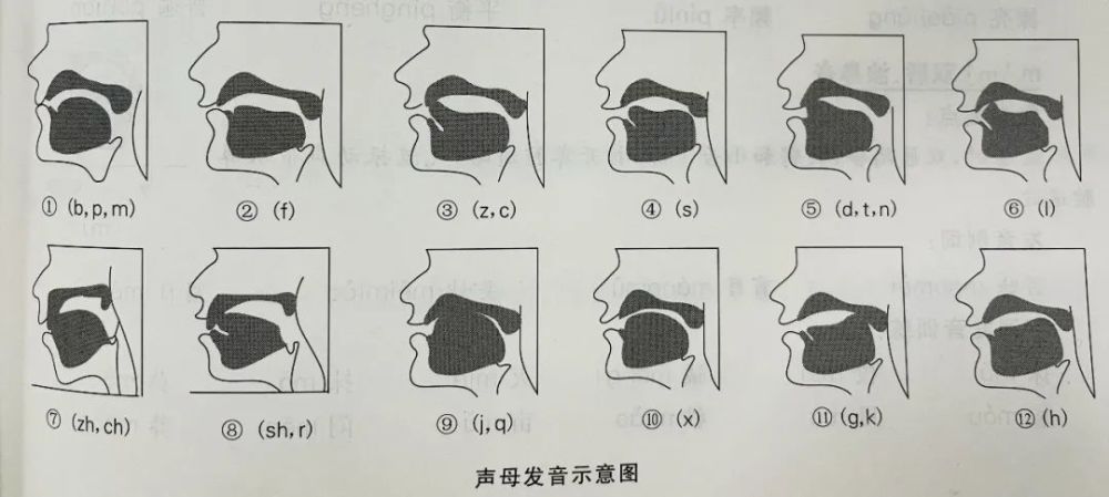 有声演播配音普通话基础发音zcszhchsh发音及练习