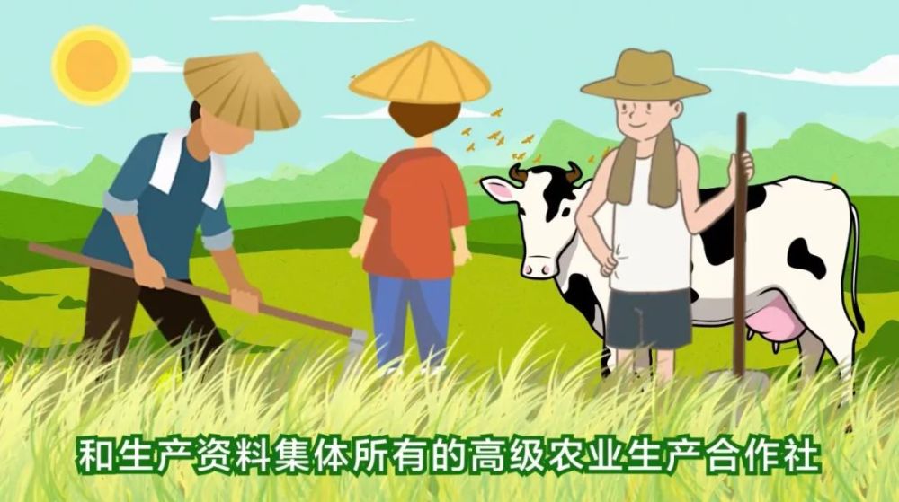 三农词条农业合作社属于农民的经济组织