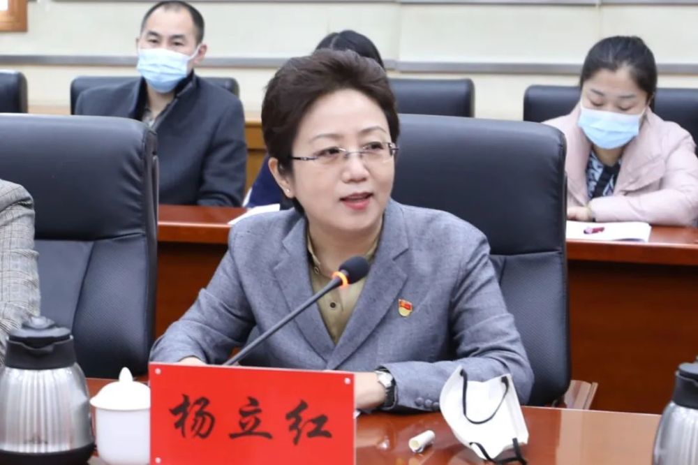杨立红主席对元宝山区在全市率先建立党政主导,部门联动,妇联牵头