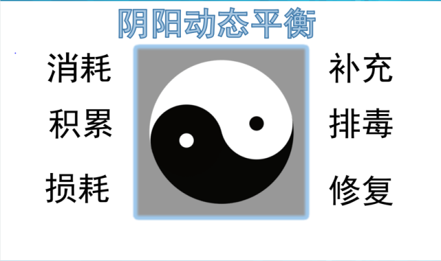 还有如下图的一些人体的阴阳平衡:再比如:一个人的呼吸,一呼一吸之间