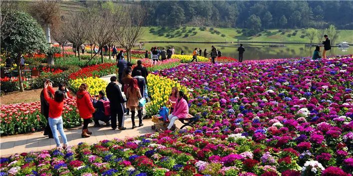 清明节旅游景点推荐花舞人间旅游攻略低音号免费语音导游