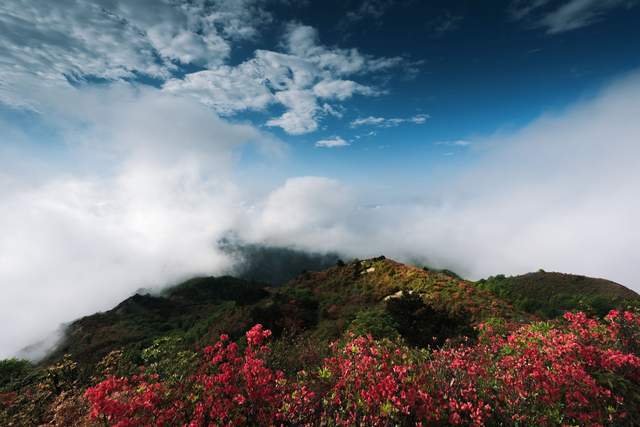 宝庆邵阳最高山在城步城步最高山在哪里