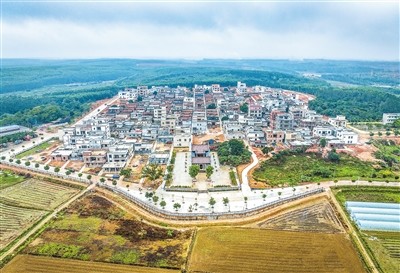 分离了,一座座小洋楼也建起来了……日前,记者走进雷州市杨家镇钟家村