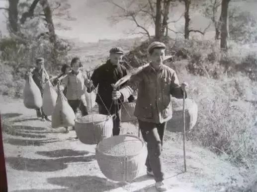 30年前交公粮的真实场面张掖人看了不许哭