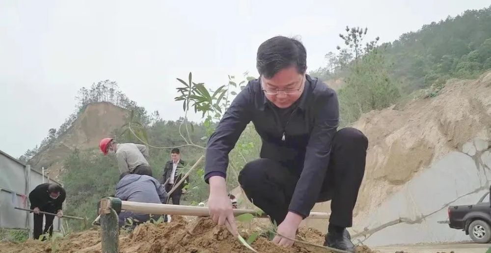 岑溪市领导分组深入各镇开展花岗岩矿山植树活动