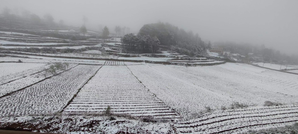 暮春4月天威宁又双叕下雪啦朋友圈开启晒雪模式