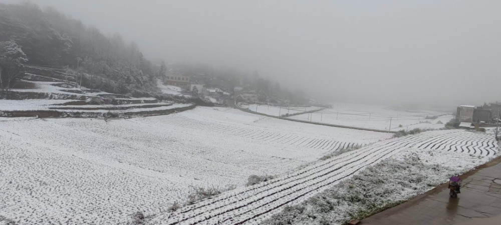 暮春4月天威宁又双叕下雪啦朋友圈开启晒雪模式