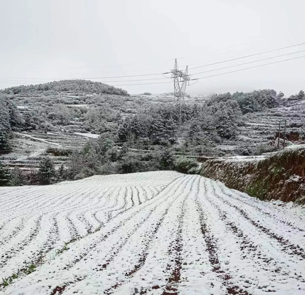 暮春4月天威宁又双叕下雪啦朋友圈开启晒雪模式