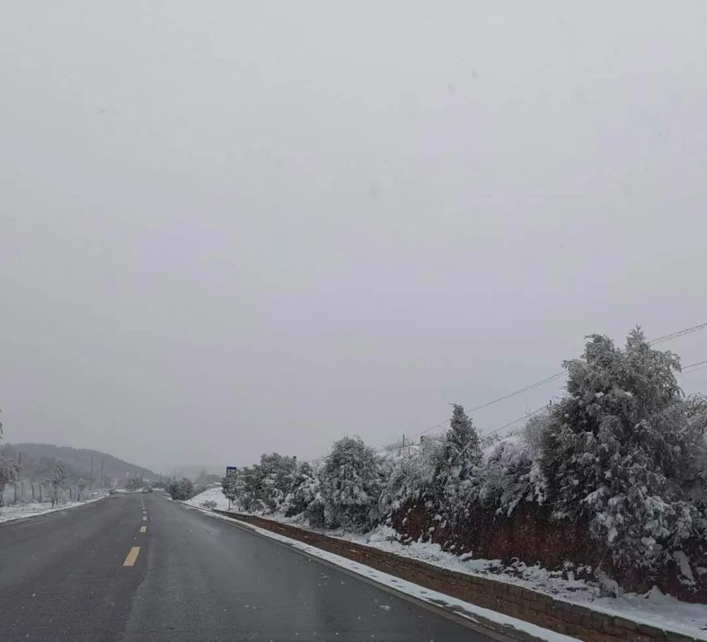 暮春4月天威宁又双叕下雪啦朋友圈开启晒雪模式