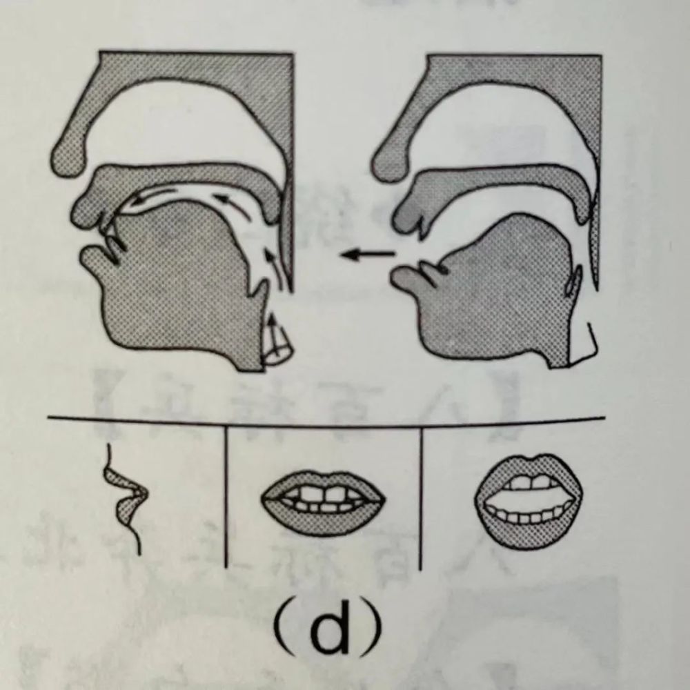 发音时,舌尖抵住上齿龈,形成阻塞,软腭和小舌上升,堵塞鼻腔通路,口腔