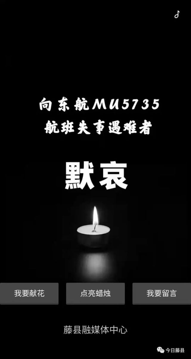 网络祭祀东航mu5735航班失事遇难者