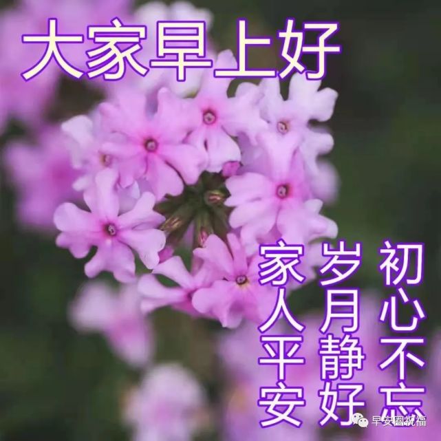 4.大家早上好,空间让我们没有距离.微信让我们天天相遇.