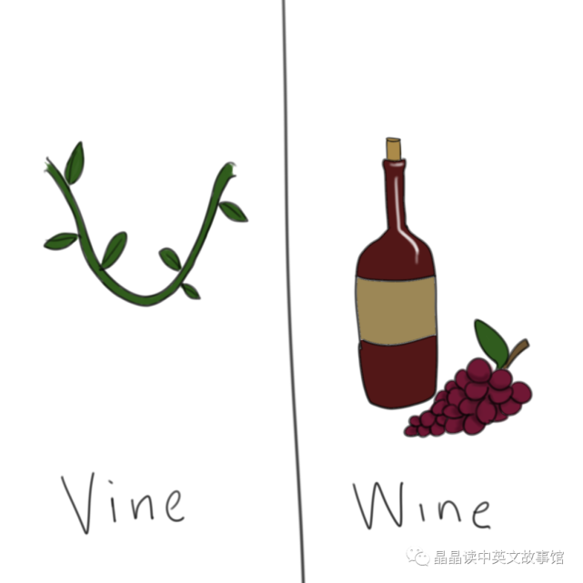 【晶语之声】pronounce vine vs wine【晶晶读中英文故事馆】