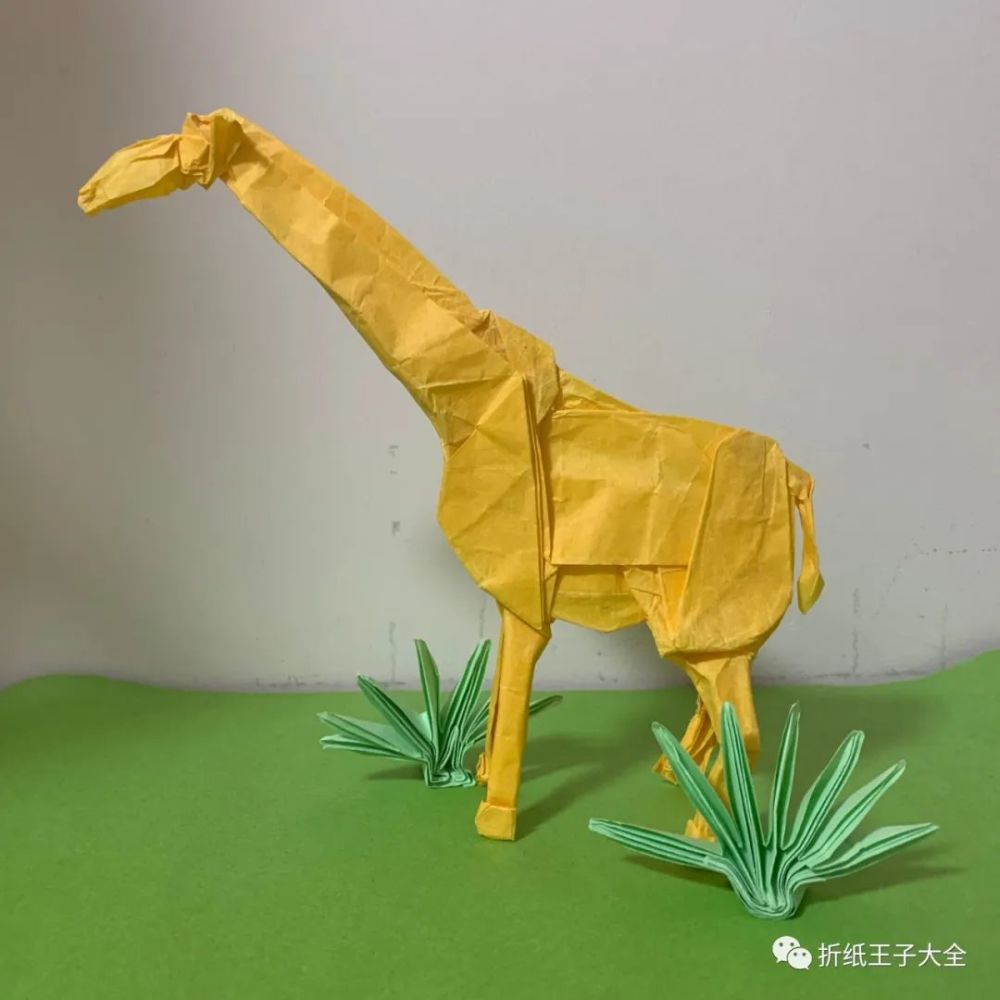 折纸作业展