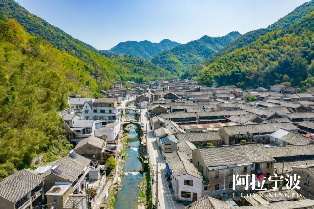 藏在奉化山岙里的千年古村人少景美还藏着古籍届的神级纸