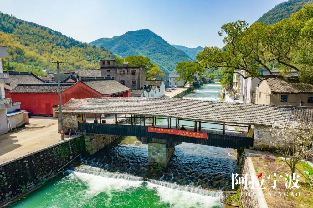 藏在奉化山岙里的千年古村人少景美还藏着古籍届的神级纸