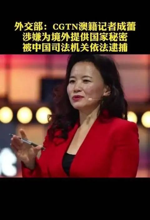 女间谍成蕾的不归路潜伏央视20年为别国偷取我国情报