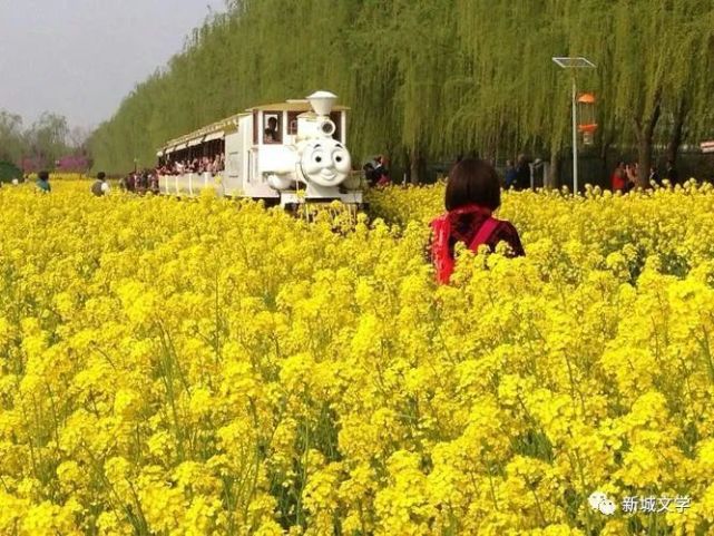 章国华:春风沂水六首