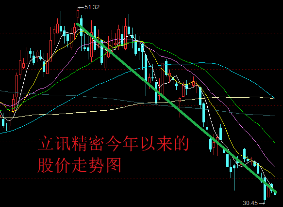 爱上一只股票的代价立讯精密今年下跌36股民均浮亏54万