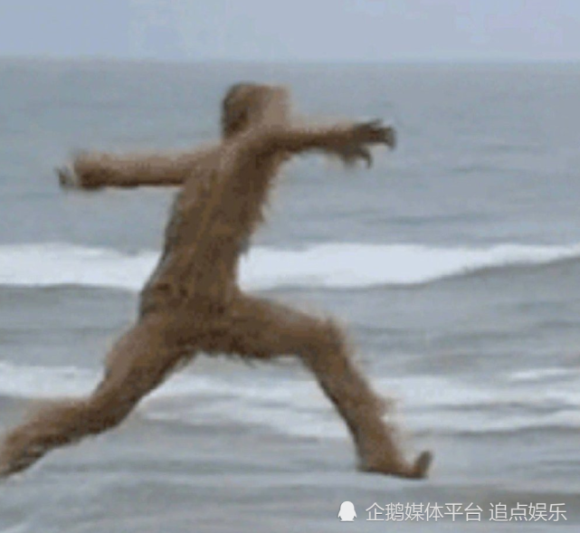 网友发现lisa春游图中的两张抓拍照像极了孙悟空海边奔跑的表情包