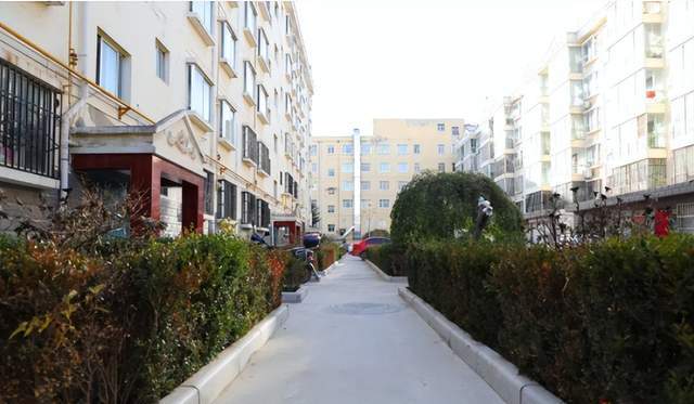 可能本地的朋友或多或少都见到过它的身影,金鹏家园地处于兰州路之上