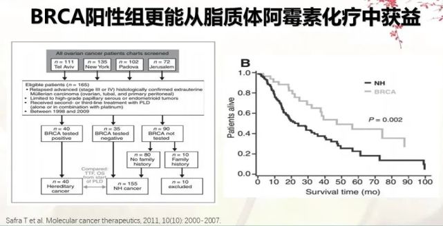 brca阳性患者能从脂质体阿霉素化疗中获益,从实验中看出,差别还是比较