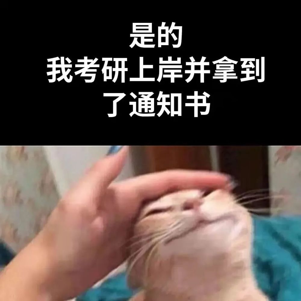 考研上岸表情包