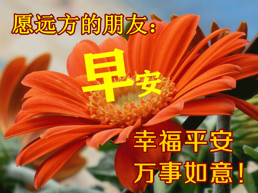 2022年4月3日特好看的清晨早上好祝福图片精选新版唯美早安祝福语集锦