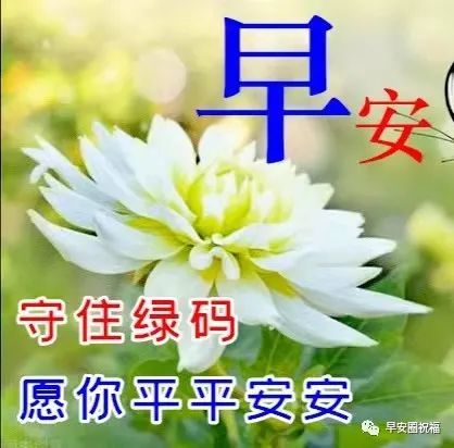 早上好9张抗疫祝福图带字疫情无情人有情情谊尽在微信中愿我们都平安