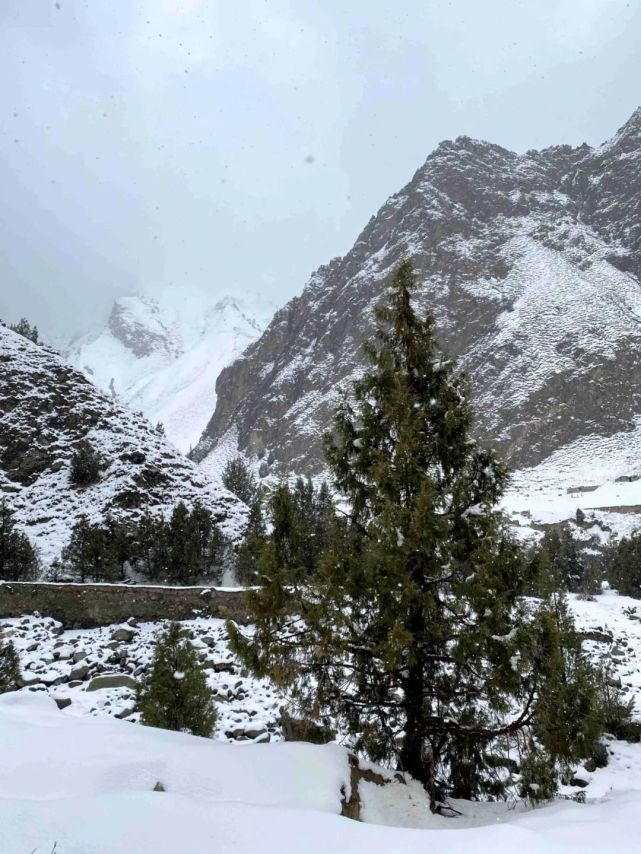 当人间四月天遇上阿依布隆的雪景,绝美!