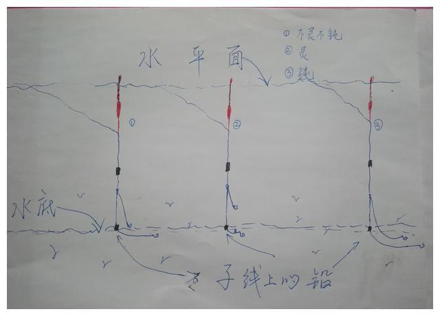 新手调漂最简单方法灵钝随意一招搞定