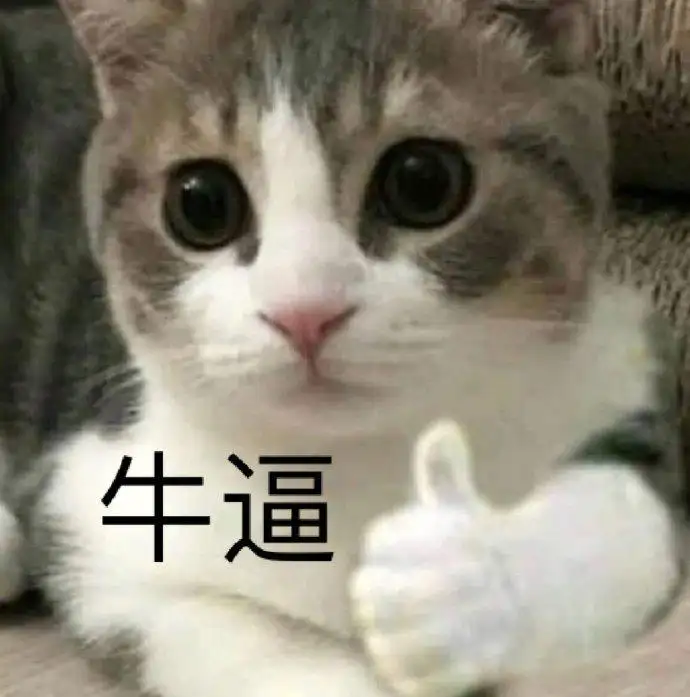 可爱猫猫表情包