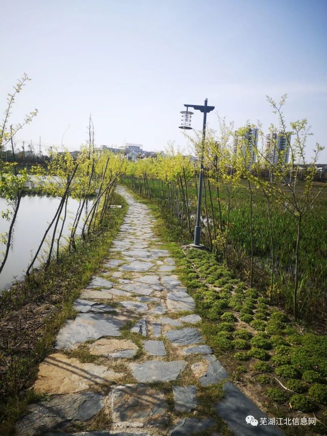 但是,历史再往前翻,这里湖塘众多,水系丰富,又与周边乡村田园风光融合