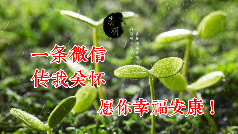祝福你:清明节气,平安健康,幸福吉祥,清爽快乐!10.