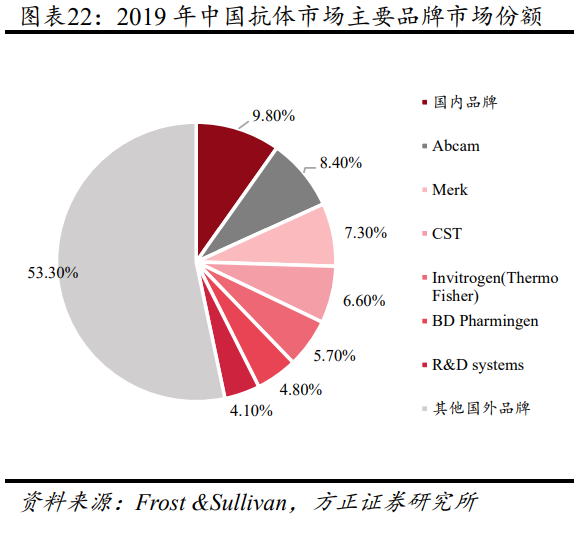 地位,市场占有率超过 90,其 中 abcam,merk,cst,invitrogen(thermo