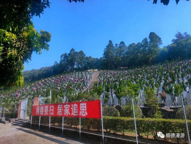 顺德飞鹅墓园祭扫2022|顺德市|飞鹅山