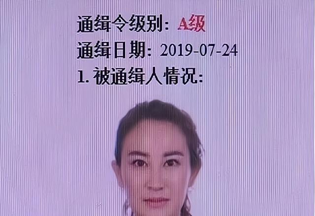 山西阔太寇静瑶19岁嫁豪门31岁成通缉犯被抓时面带微笑