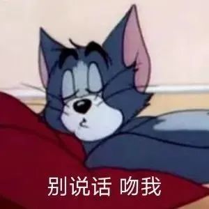 表情包别说话吻我
