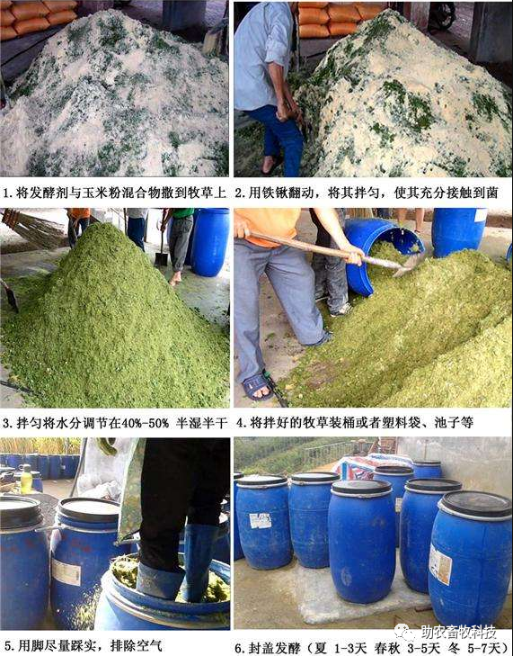 消纳猪场粪水形成生态循环,降低饲料成本,提高猪肉品质