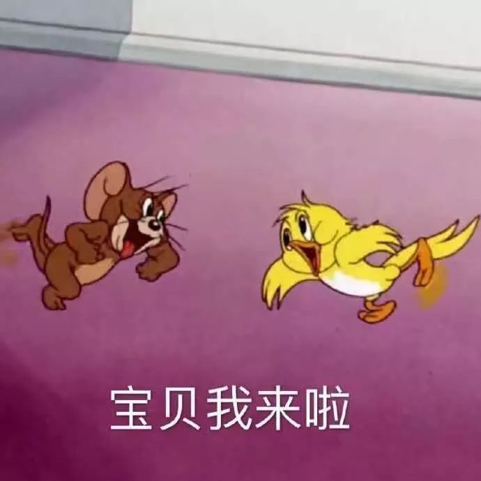 猫和老鼠和小黄鸭表情包