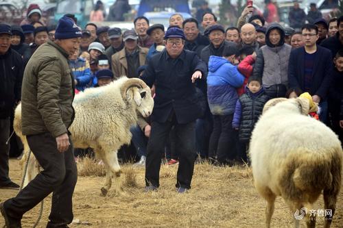 疑似居民被剃头的菏泽鄄城县:一代兵师孙膑故里 斗鸡斗羊文化浓厚