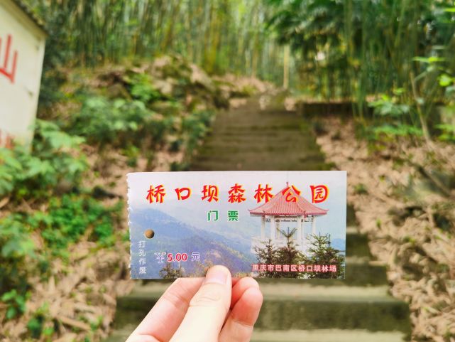 探路重庆川东小峨眉-桥口坝森林公园,原生态有杜鹃有红叶(攻略)