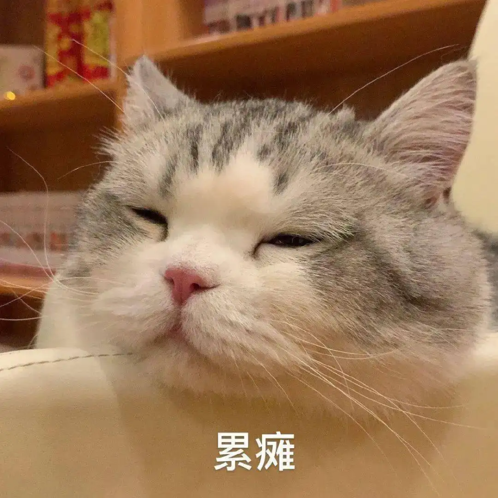 可爱猫猫表情包