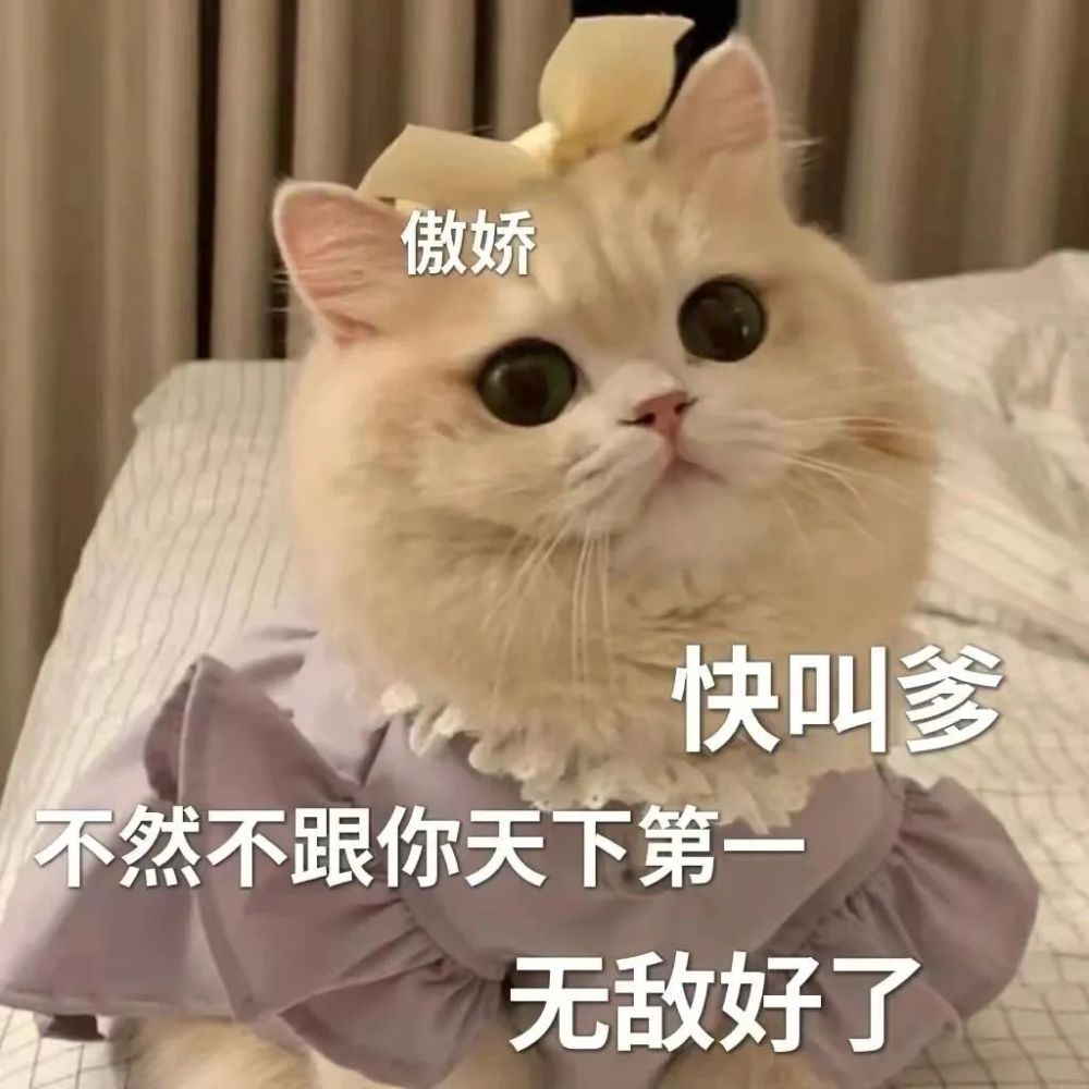 表情包丨一组绝绝子表情包请拿走谢谢