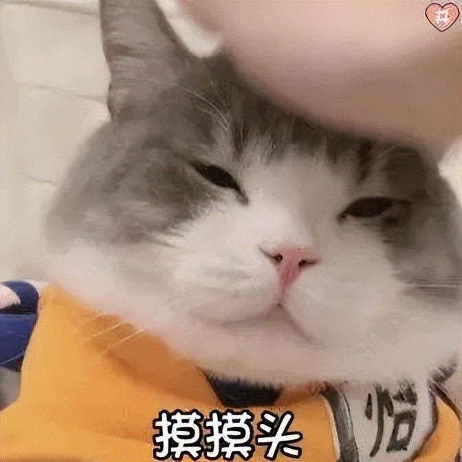 猫咪为什么喜欢摸头杀