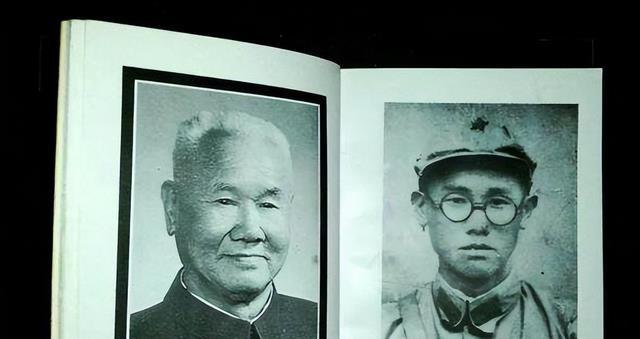 1983年全国严打,上将陈再道的儿子被判死刑,他到底犯了何罪?