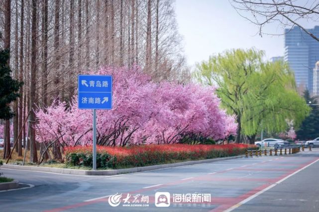 济南路,北京路,烟台路,青岛路……美成了这样!