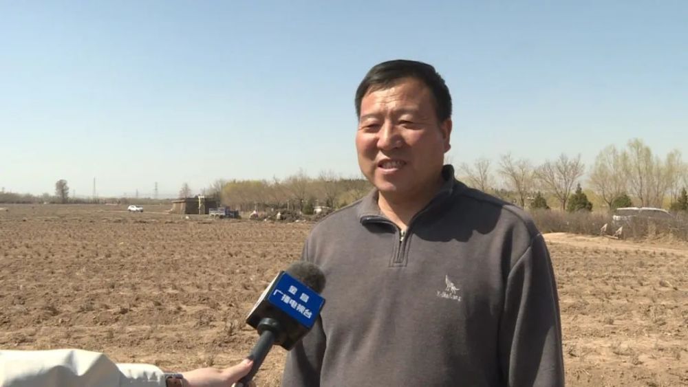 金水湖景区技术员 董开发我们种植的品种是从新疆引进的法国蓝兰花