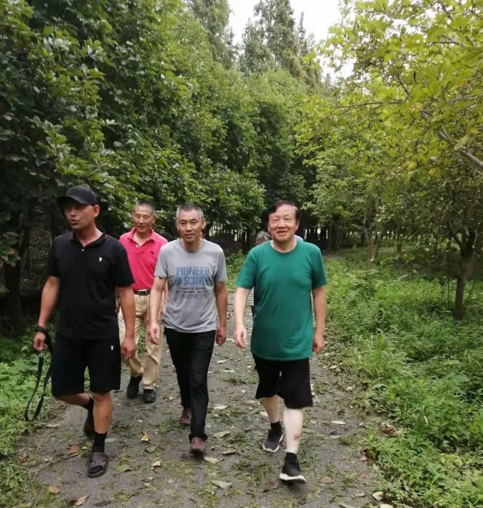 陆洪兴适量运动增强免疫力